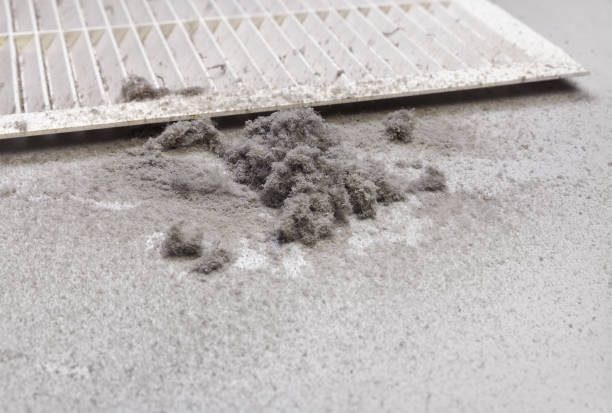 Best HVAC Duct Inspection Services  in Country Homes, WA